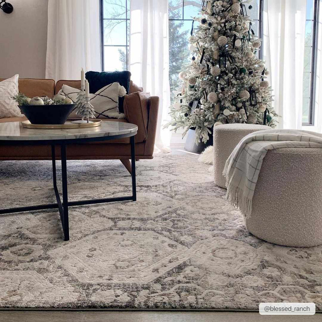 Minoa Area Rug-3